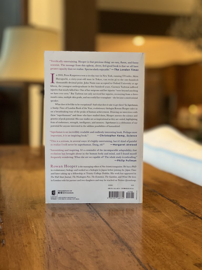  Lorem Ipsum