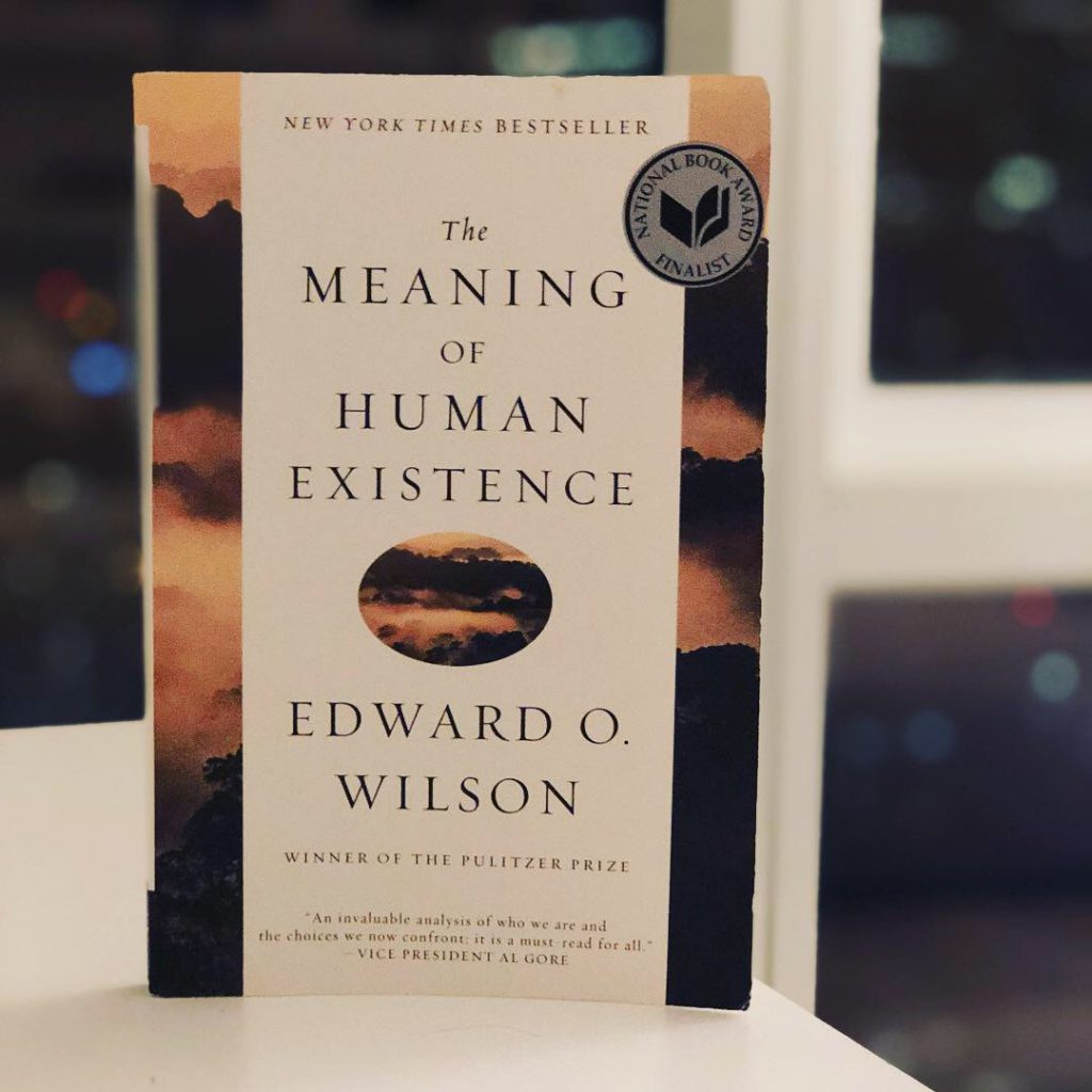 the-meaning-of-human-existence-1