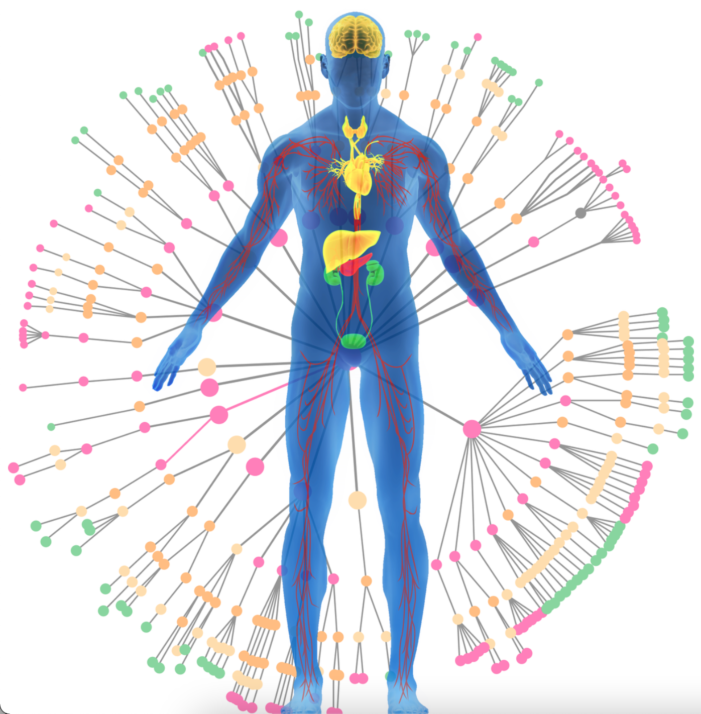 Twin Health Helena Projects Helena Helena