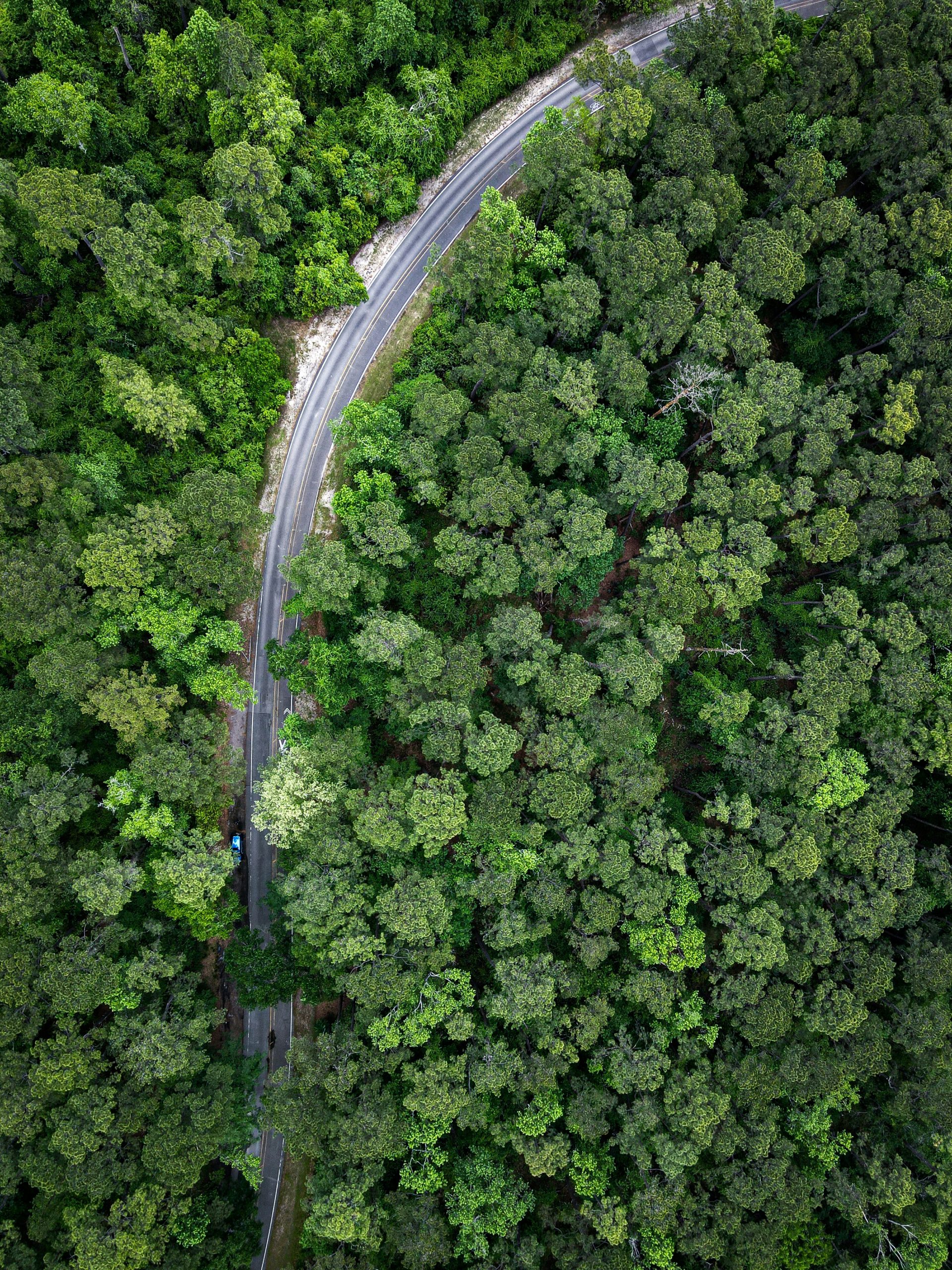 anvesh-uppunuthula-NZAH9ZT1gd4-unsplash